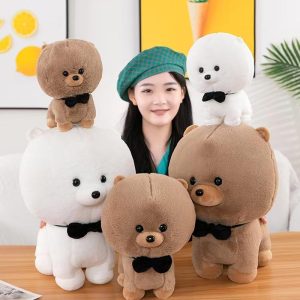Cute Bichon Frise